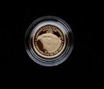 2022-W $5 1/10 oz American Gold Eagle Coin