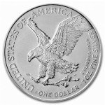 2025 American Silver Eagle Coin - Authenticity Certificate