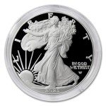 2025 W 1 oz American Silver Eagle Coin