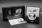 2025 W 1 oz American Silver Eagle Coin