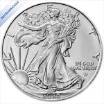 2025 American Silver Eagle Coin - $1