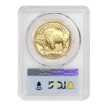 2024 1 oz American Gold Buffalo MS-70 Coin