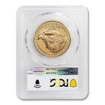 2023 1 oz American Gold Eagle Coin MS-70