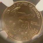 2015 American Gold Eagle 1/10 oz Coin