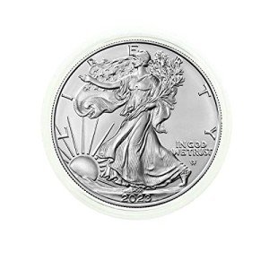 2023 American Silver Eagle Coin with Certificate