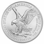 2025 American Silver Eagle 1 oz Coin with Certificate