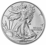 2025 American Silver Eagle 1 oz Coin with Certificate