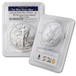 2025 1 oz American Silver Eagle Coin GEM UNC