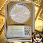 2025 American Silver Eagle MS70 Gold Core Coin
