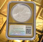 2025 American Silver Eagle MS70 Gold Core Coin