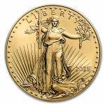 2025 1 oz American Gold Eagle Coin with Box