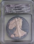 2025 Silver Eagle ASE ICG Black Ruthenium Coin