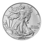 2025 1 oz American Gold Eagle Coin Lot of 10