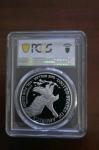 2025-W $1 Silver Eagle Army Privy Coin