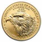 2025 1 oz American Gold Eagle Coin MS-69