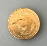 2025 1 oz Gold American Eagle Coin $50