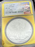 2025 Silver Eagle Coin NGC MS70 Gold Foil