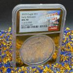 2025 Silver Eagle Coin NGC MS70 Gold Foil