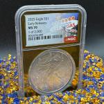 2025 Silver Eagle Coin NGC MS70 Gold Foil