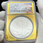 2025 Silver Eagle Coin NGC MS70 Gold Foil