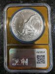 2025 American Silver Eagle NGC MS70 Vegas Edition