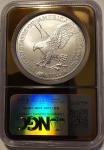 2025 American Silver Eagle NGC MS70 Gold Slab