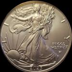 2025 American Silver Eagle NGC MS70 Gold Slab