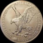 2025 American Silver Eagle NGC MS70 Gold Slab