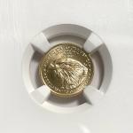 2025 Gold Eagle $5 Mint Error Coin 1/10Oz