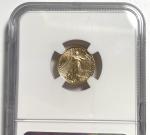 2025 Gold Eagle $5 Mint Error Coin 1/10Oz