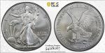 2025-W Burnished American Silver Eagle Coin PCGS SP69