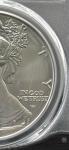 2025-W Burnished American Silver Eagle Coin PCGS SP69