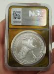 2025 American Silver Eagle Dollar NGC MS 70