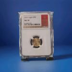 2025 American Gold Eagle G$5 MS70 Coin