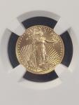 2025 American Gold Eagle G$5 MS70 Coin