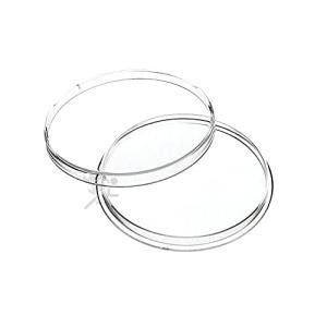 10 Pack H40 Coin Holder Capsules for Eagles