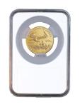 Coin Holder for ½ Ounce Gold Eagle/Buffalo