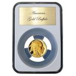 Certified Coin Holder for American Gold Eagle