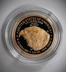 2025 1/4 oz Gold American Eagle Coin