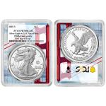 2025-S Proof $1 American Silver Eagle - Navy Privy