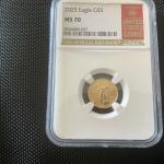 2025 American Gold Eagle Coin NGC MS 70