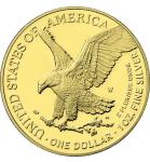 2025 Gold Gilded American Silver Eagle Coin