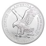 2025 Lot of 10 American Silver Eagle Coins