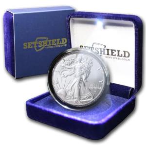 2025 1 oz American Eagle Coin with Presentation Box