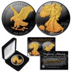 2025 American 1 OZ Silver Eagle Coin with Gold Detail