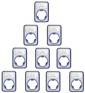 Elite Coin Holder for 10 American Gold Eagles