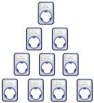 Elite Coin Holder for 10 American Gold Eagles