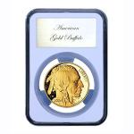Elite Coin Holder for 10 American Gold Eagles