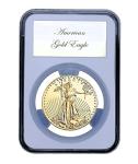 Elite Coin Holder for 10 American Gold Eagles