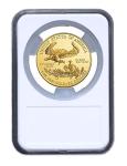Elite Coin Holder for 10 American Gold Eagles